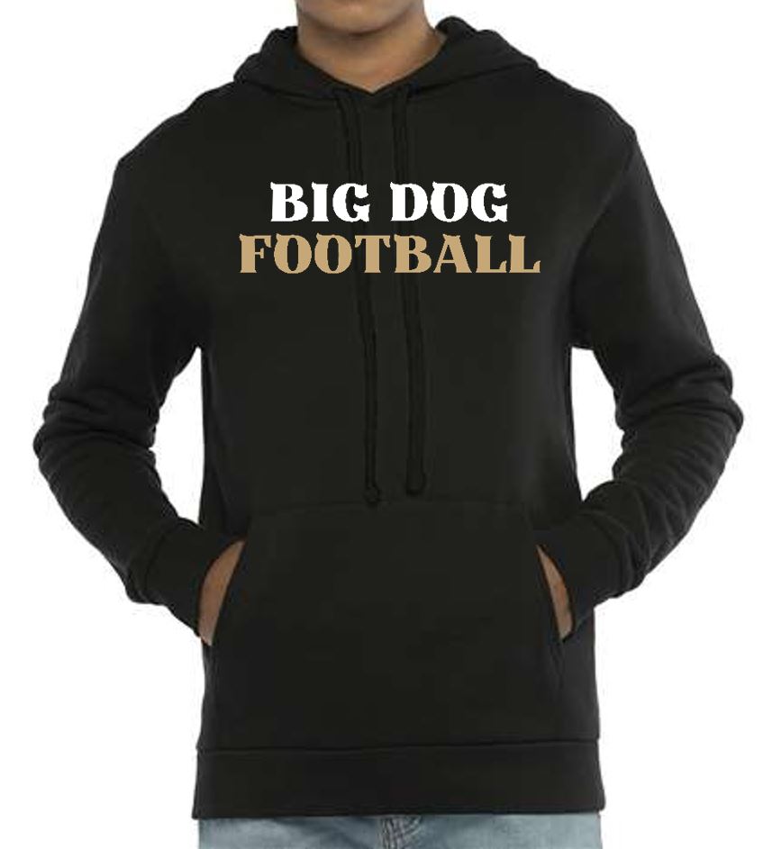 Next Level Hoodie PSYA Big Dog Football Coach